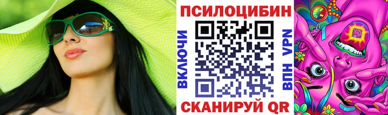 Галлюциногенные грибы Cubensis  кракен   Камышин  закладка 